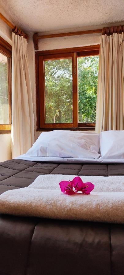 Ixlum hoteles y casas vacacionales Tepoztlán Exterior foto